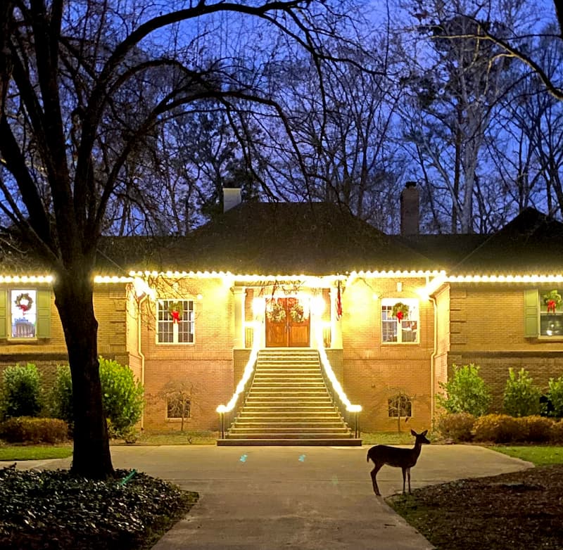 Christmas lights in atlanta ga