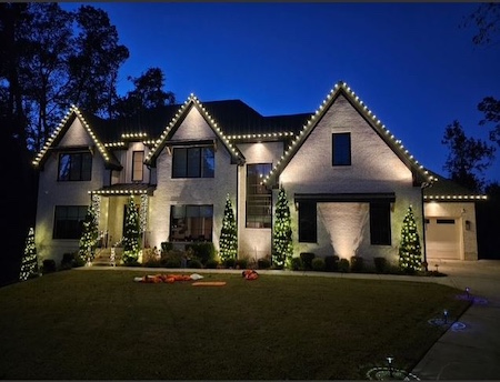 Led vs incandescent for residential displays cost brightness and lifespan