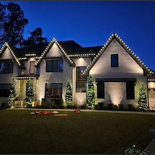 LED vs. Incandescent for Residential Displays: Cost, Brightness, and Lifespan